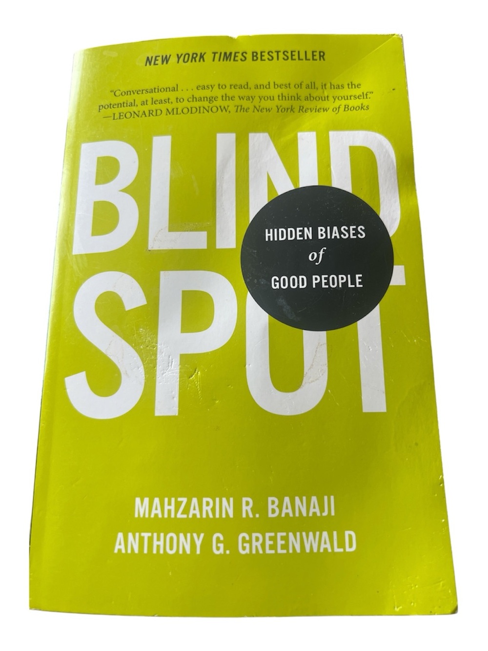 Blind Spot — Mahzarin R. Banaji & Anthony G. Greenwald